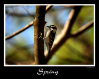 DSC_3257a.jpg