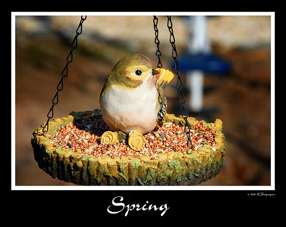 DSC_3322a.jpg