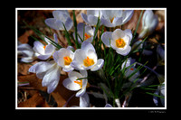 DSC_5690�.jpg
