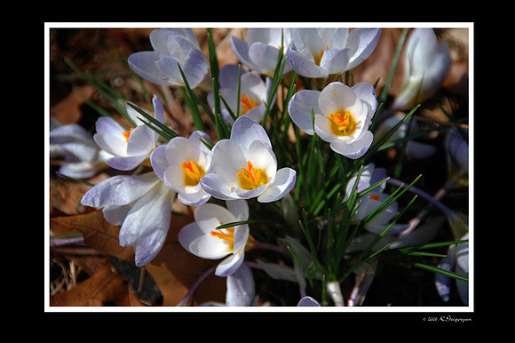 DSC_5690�.jpg