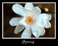 DSC_3307a.jpg