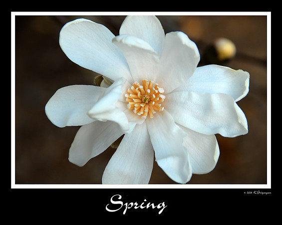 DSC_3307a.jpg