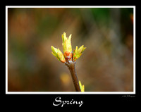 DSC_3318a.jpg