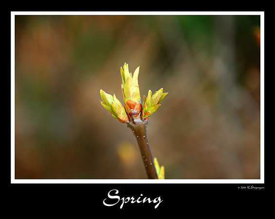 DSC_3318a.jpg