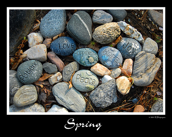 DSC_3311a.jpg