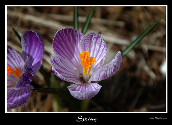 DSC_5691a.jpg