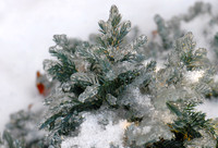 KG2_8633p.jpg