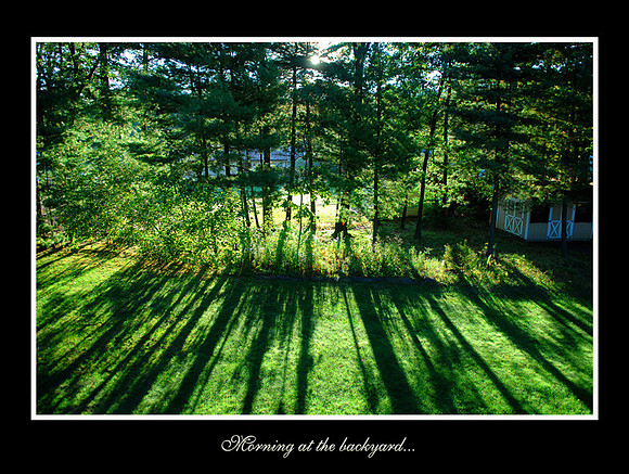 DSC_8638p.jpg