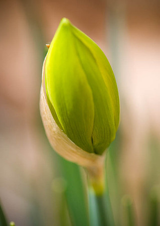 DSC_8584.jpg