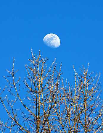 DSC_0237p.jpg