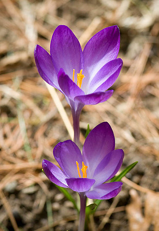 DSC_8576.jpg