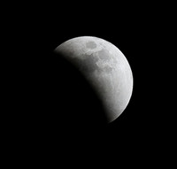 DSC_5498p.jpg