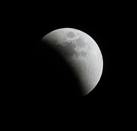 DSC_5498p.jpg