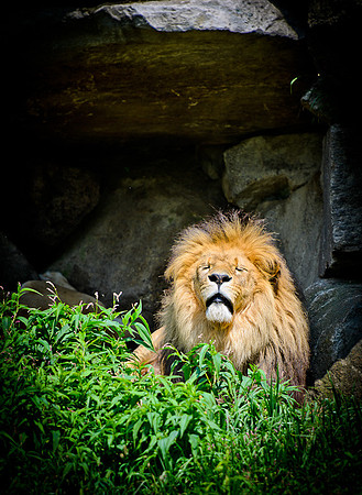 D7K_3030.jpg