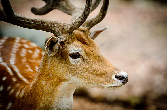 D7K_2908.jpg