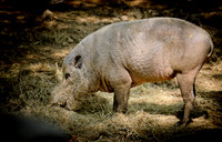 D7K_2750.jpg