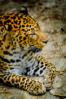 D7K_2794.jpg