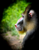 D7K_2834.jpg