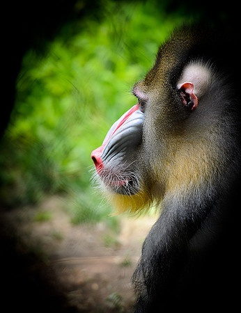 D7K_2834.jpg