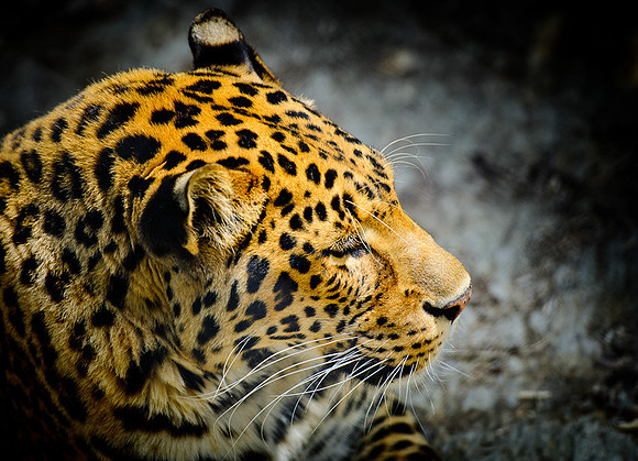 D7K_2774.jpg