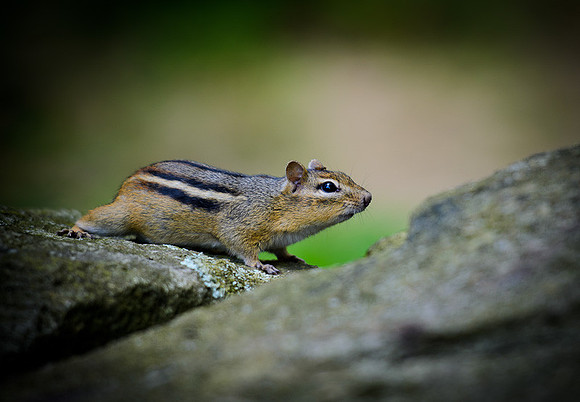D7K_2985.jpg