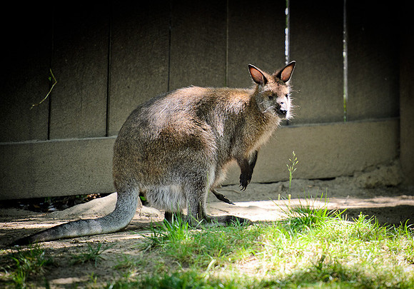D7K_2733.jpg