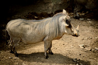 D7K_2781.jpg