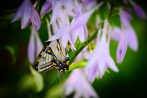 D7K_3115.jpg