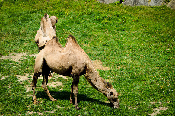 D7K_3150.jpg