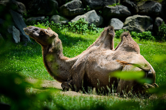 D7K_3007.jpg