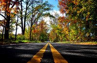DSC_0777a.jpg