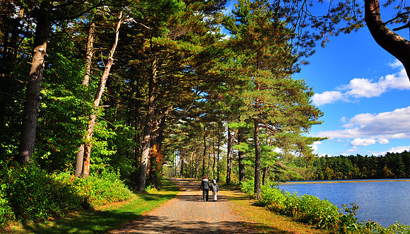 DSC_0467p.jpg