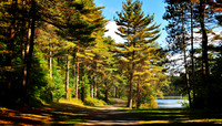 DSC_0442p.jpg
