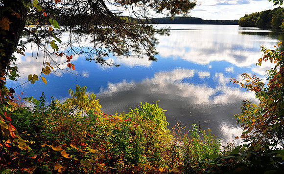 DSC_0452p.jpg