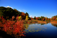 DSC_0810.JPG