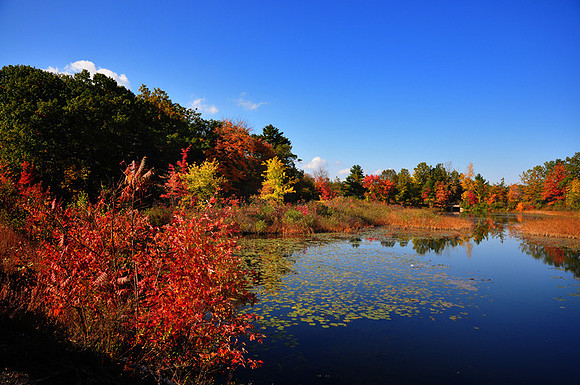 DSC_0810.JPG