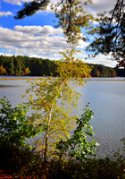 DSC_0472p.jpg