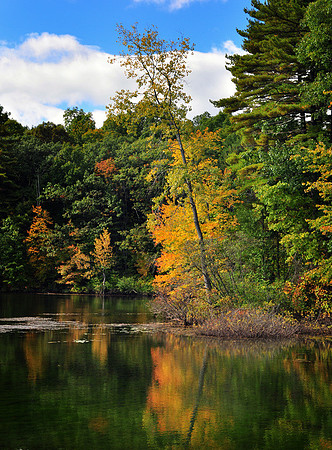 DSC_0404p.jpg