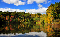 DSC_0409p.jpg
