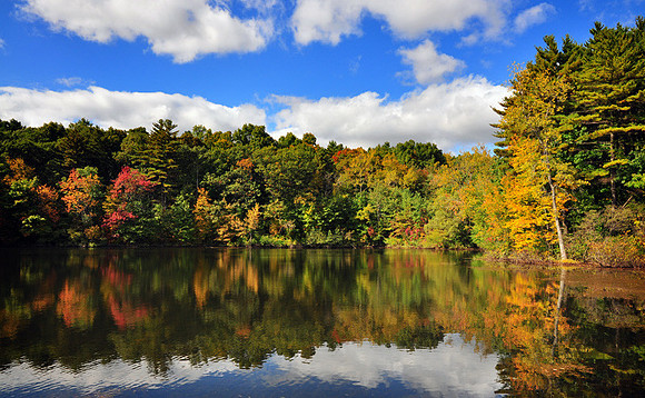 DSC_0409p.jpg