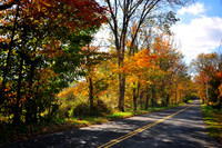 DSC_0749.JPG