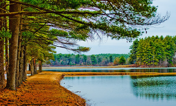 DSC_0419.jpg