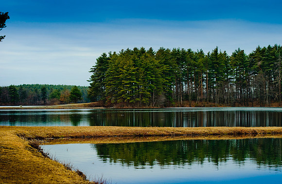DSC_0474.jpg