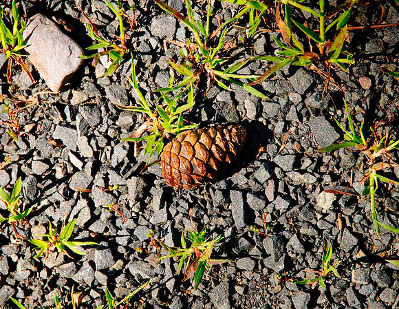 DSC_6987.jpg