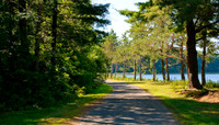 DSC_6984.jpg