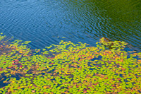 DSC_6957.jpg
