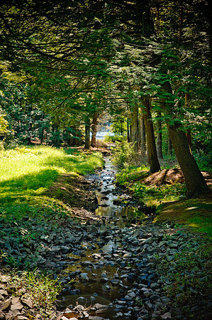 DSC_7030.jpg