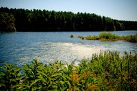 DSC_6973.jpg