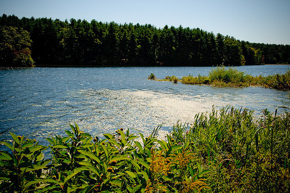 DSC_6973.jpg