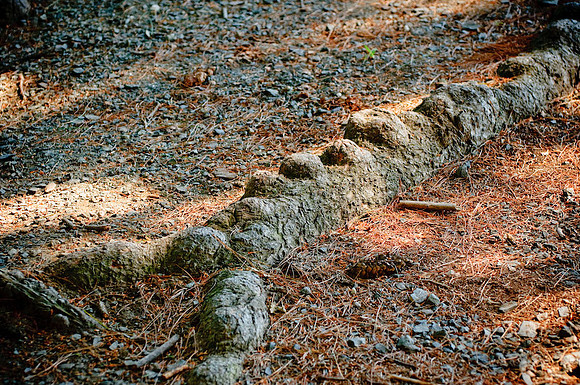 DSC_6914.jpg
